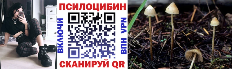 цена Луга Галлюциногенные грибы мицелий