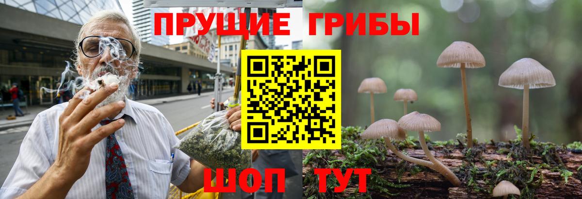 Героин  Вход с VPN  Канабис  Меф кристаллы  Луга  ГАШИШ  КОКАИН  Сколько стоит 
