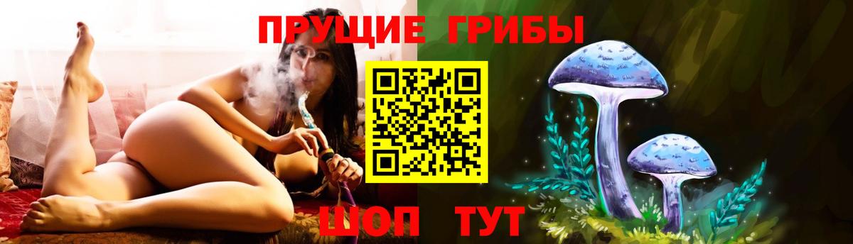 Псилоцибиновые грибы Cubensis Луга