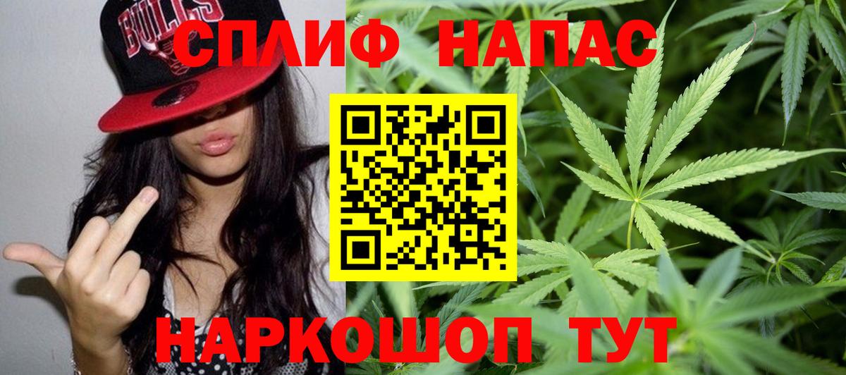 Конопля сатива Луга